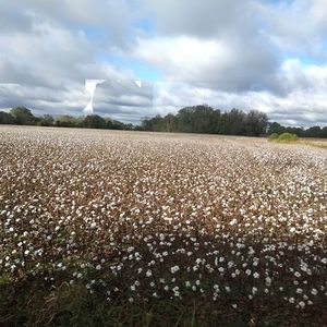 Meet your Posher, Ray